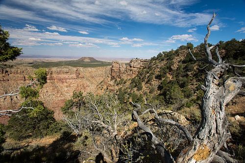 Blik op de Grand Canyon