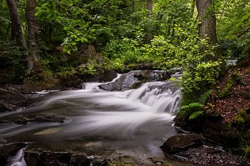 Selke waterval, Saksen-Anhalt van Winne Köhn