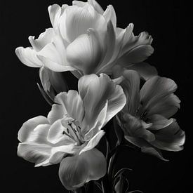 Floral composition in black and white by ARTemberaubend