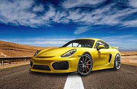 Porsche 718 Cayman GT4 RS