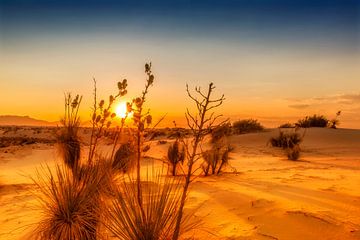 Zonsondergang over White Sands National Monument van Melanie Viola