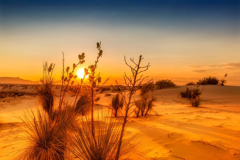 White Sands Sunset by Melanie Viola