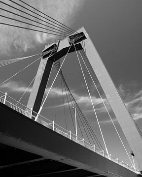 Take It To The Bridge van Rotterdam Through My Lens