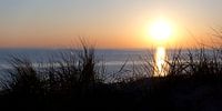 Setting sun behind the dunes