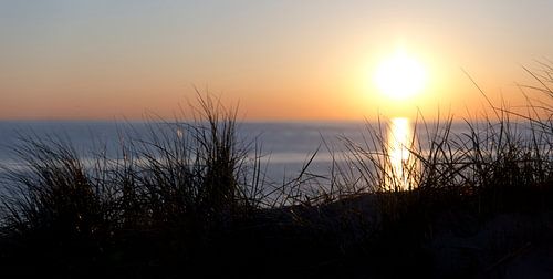 Untergehende Sonne hinter den Dünen