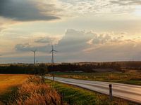 Sommer im Weinviertel