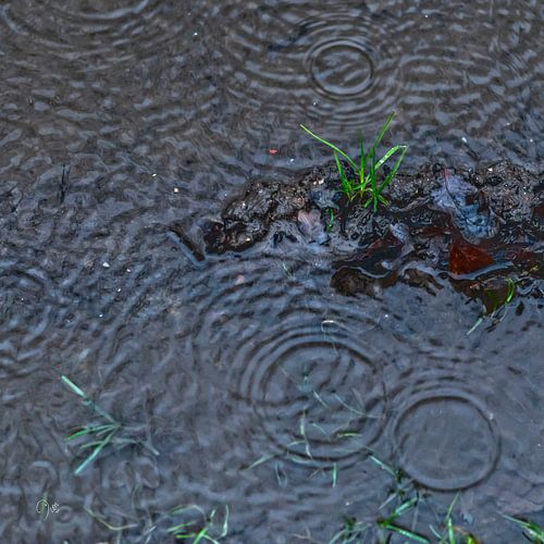 wetcircles