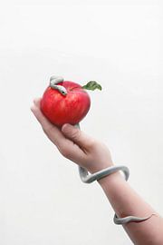 Complex Devil Wall Art - Exploring Seduction and Human Nature by Elianne van Turennout