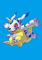 Axolotl The Adorable Regenerating Amphibian