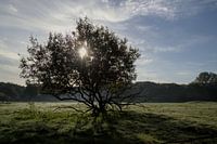 Door de duisternis breekt het licht door.