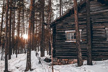 Houten hut in het sneeuwbos van Diederik Lieftink