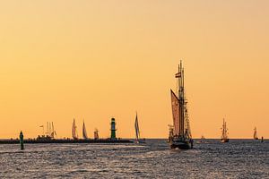 Segelschiffe im Sonnenuntergang auf der Hanse Sail in Rostock