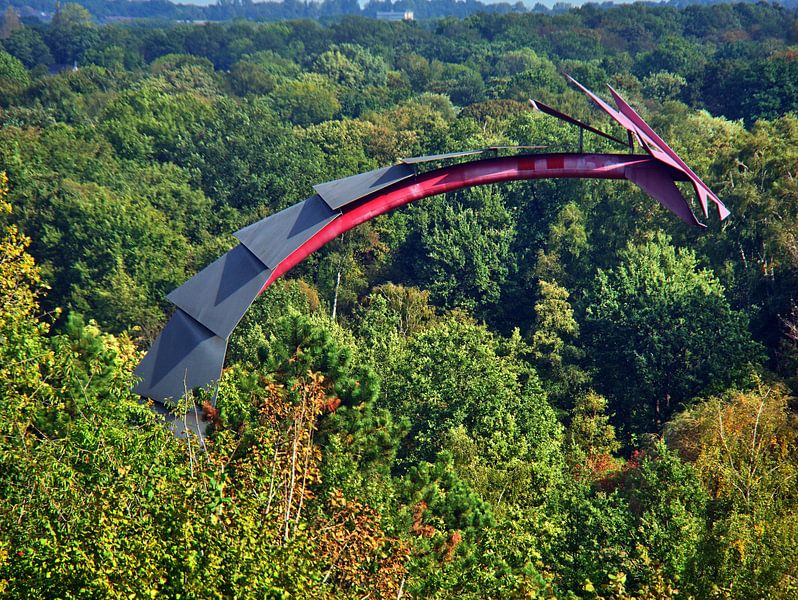 Tête du pont du dragon au-dessus de la cime des arbres par Edgar Schermaul
