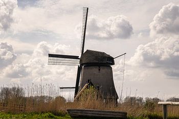 Moulin