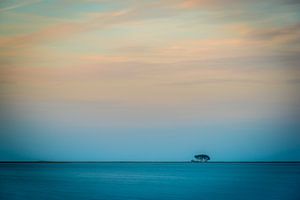 Some lone trees on a small island
