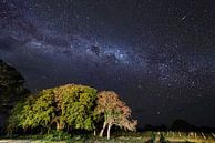 Galaxie Pantanal  von Leon Doorn Miniaturansicht