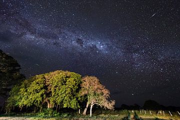Milky way Pantanal and shadows by Leon Doorn