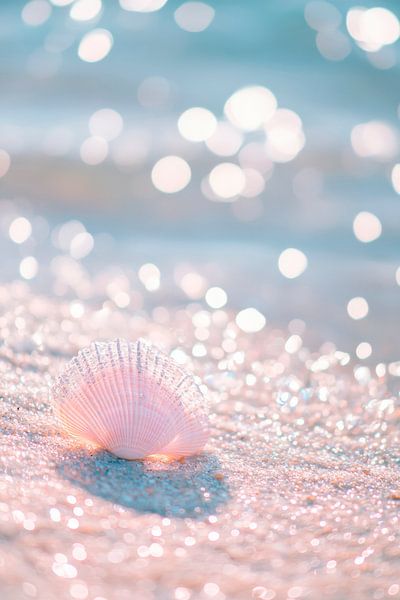 Coquillage brillant sur la plage par Poster Art Shop