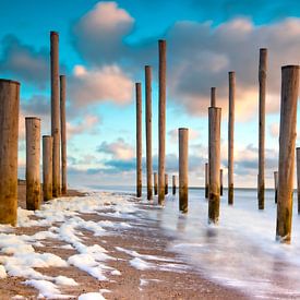 Palendorp bij Petten aan Zee van jaapFoto