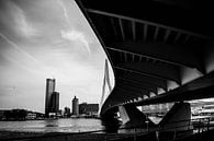 Erasmus Bridge by Rene scheuneman thumbnail
