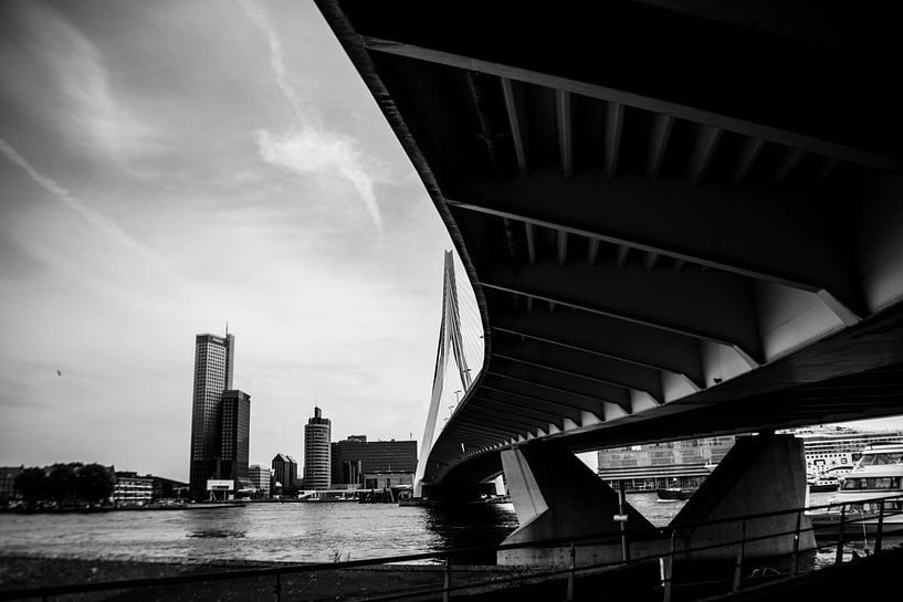 Erasmus Bridge by Rene scheuneman
