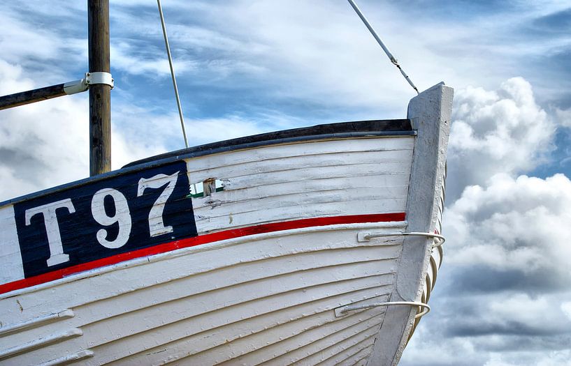 T 97 by Kirsten Warner