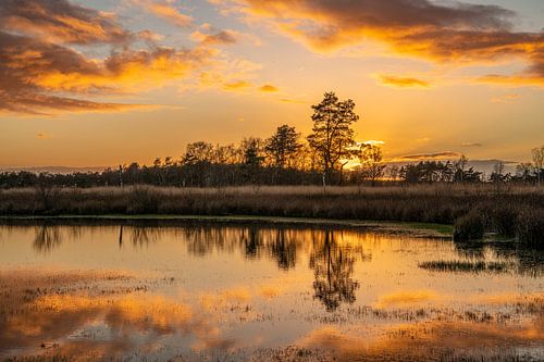 Gouden zonsondergang