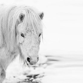 Winters vuurtje van Ellen Pitlo