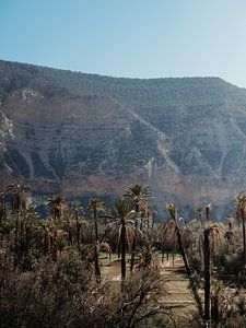 Vallée du Paradis au Maroc