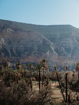Paradiesisches Tal in Marokko von Dayenne van Peperstraten
