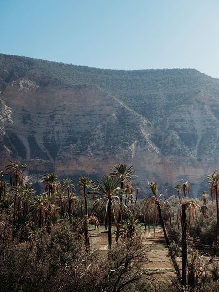 Vallée du Paradis au Maroc par Dayenne van Peperstraten