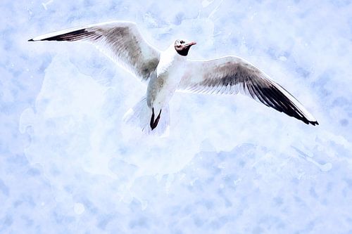 Black-headed gull enjoys its freedom