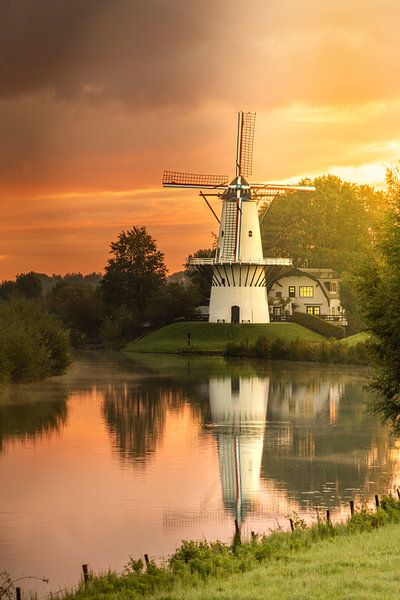 Mill the Butterfly by Lisa Antoinette Photography