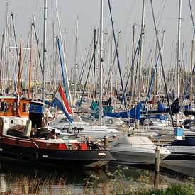 NEDERLAND/THE NETHERLANDS sur Roelof Touw