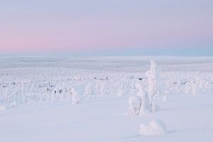 Blick auf Holzhütten | Reisefotografie Druck | Saariselkä Lappland Finnland