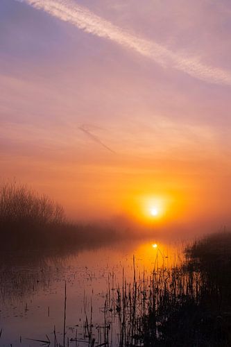 Nebel auf Graben zwischen Wiesen