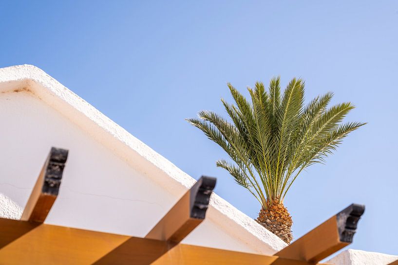 Der ultimative Urlaub von Nederlandschap