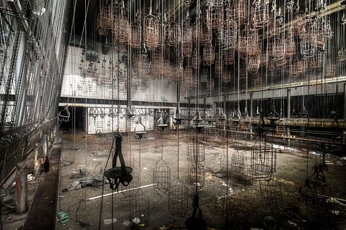 Paniers dans des mines abandonnées.