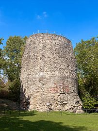 Mainz, der Drususstein