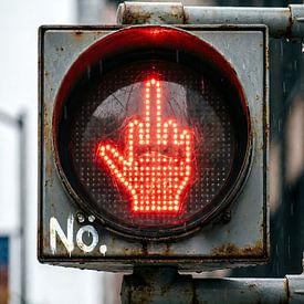 Urbanes Veto – Nö. von Max Steinwald