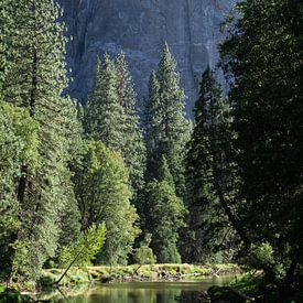 Yosemite National Park van Annabel van Wensveen