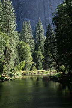 Yosemite National Park van Annabel van Wensveen