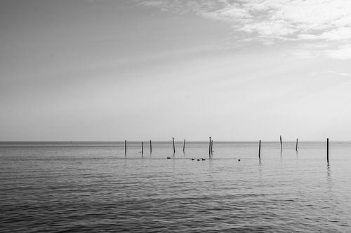 Peace on the water