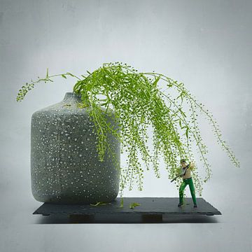 Humorvolles Ikebana mit einem Twist. von Saskia Dingemans Awarded Photographer