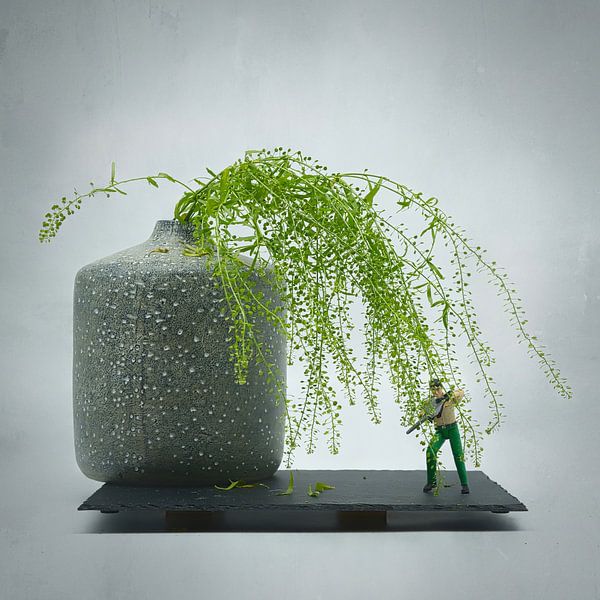 Humorous Ikebana with a twist. by Saskia Dingemans Awarded Photographer