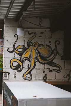 Street Art van Koh Lipe: Levendige Muurschilderingen en Kunst van Ken Tempelers