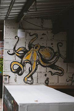 Street Art of Koh Lipe: Vibrant Murals and Art