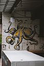 Street Art of Koh Lipe: Vibrant Murals and Art by Ken Tempelers thumbnail