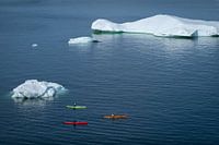 Kajakfahren um die Eisberge in Grönland herum.