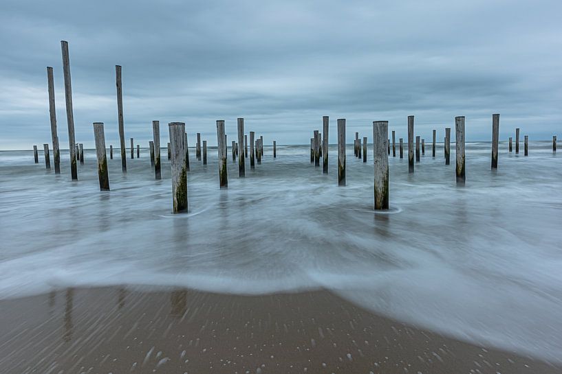 Palendorp, Petten van Carla Matthee